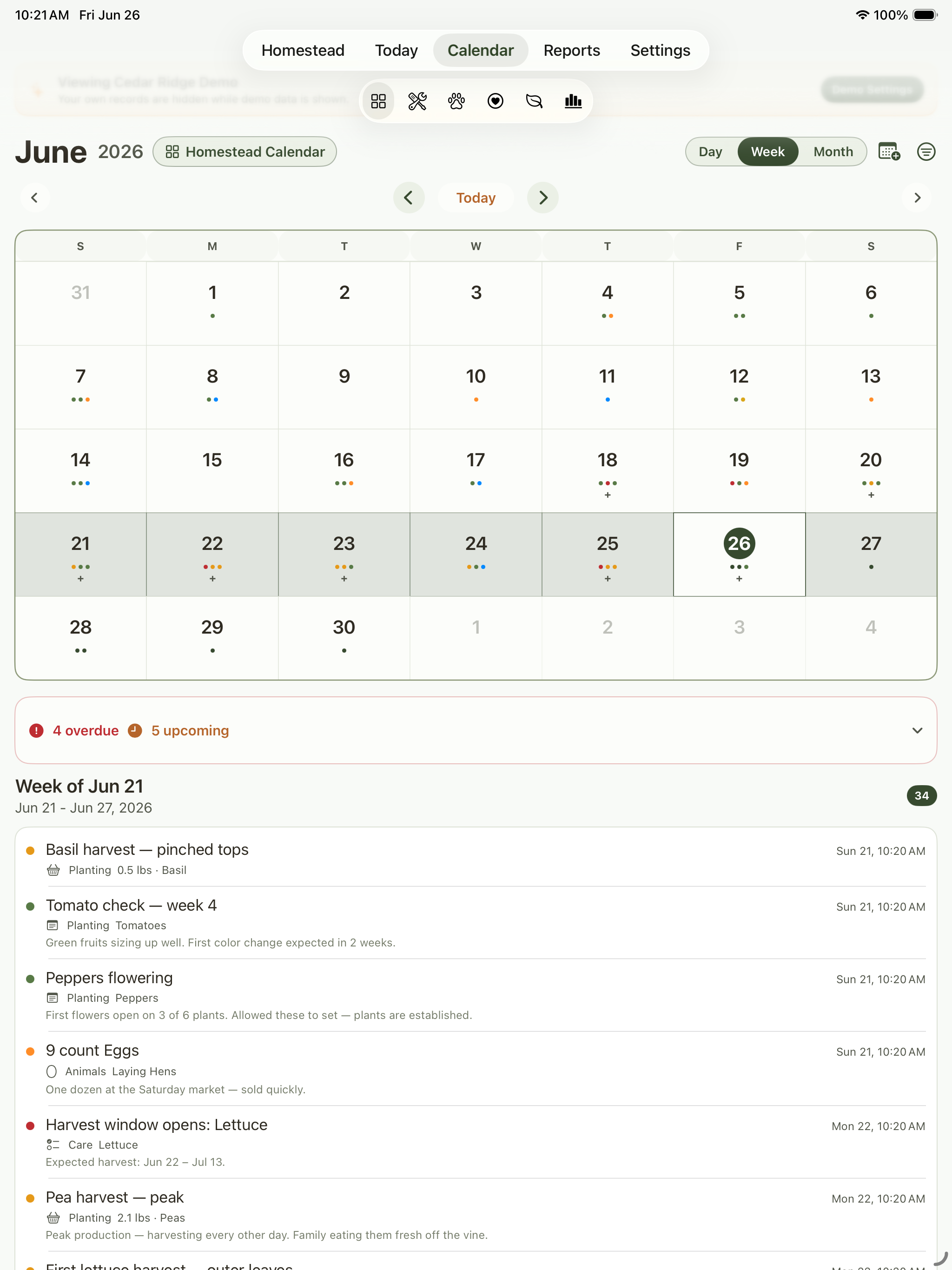 Calendar view showing a highlighted week and matching task list.